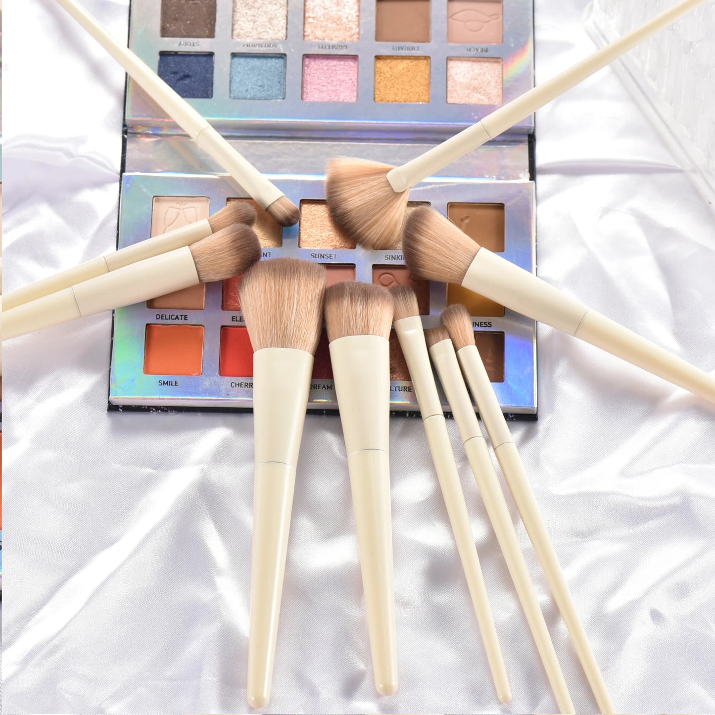 Premium Makeup Brushes Set